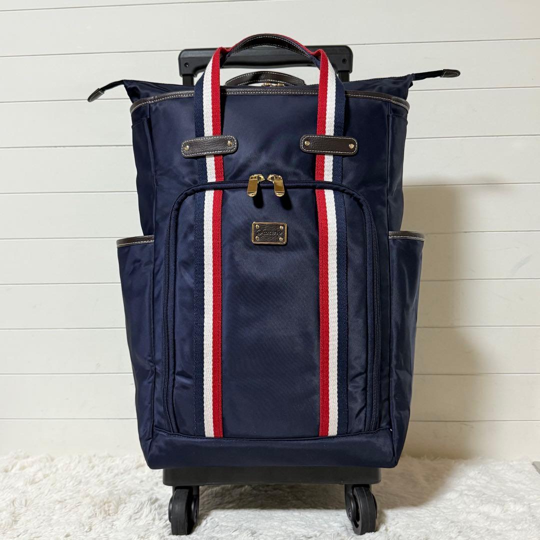 ⭐️新品未使用⭐️　SWANY　トリコロールアクセント　キャリーカート　409200