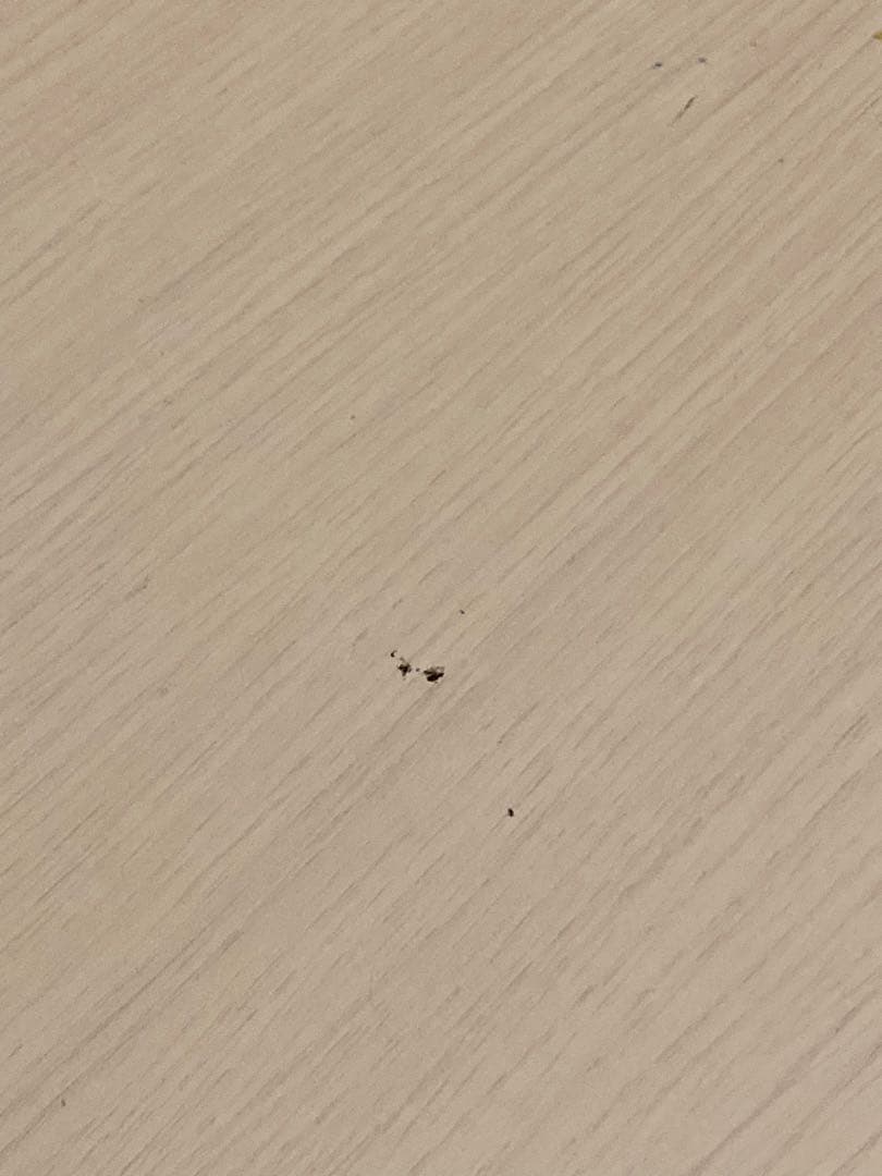 ホワイト木製衣類ハンガー キャスター付き　棚付き