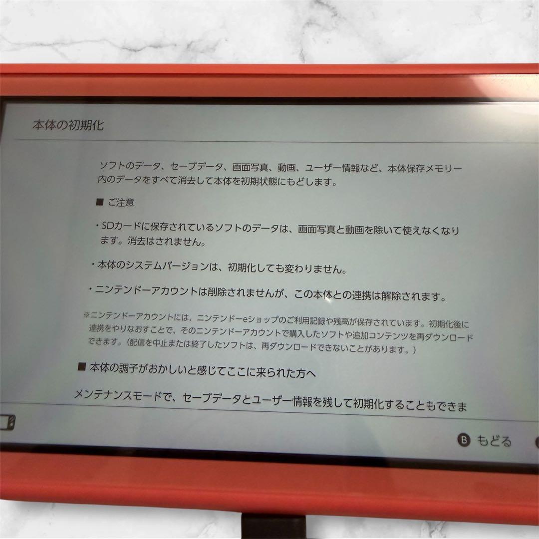 Nintendo Switch Lite 本体 充電器・SDカード付き