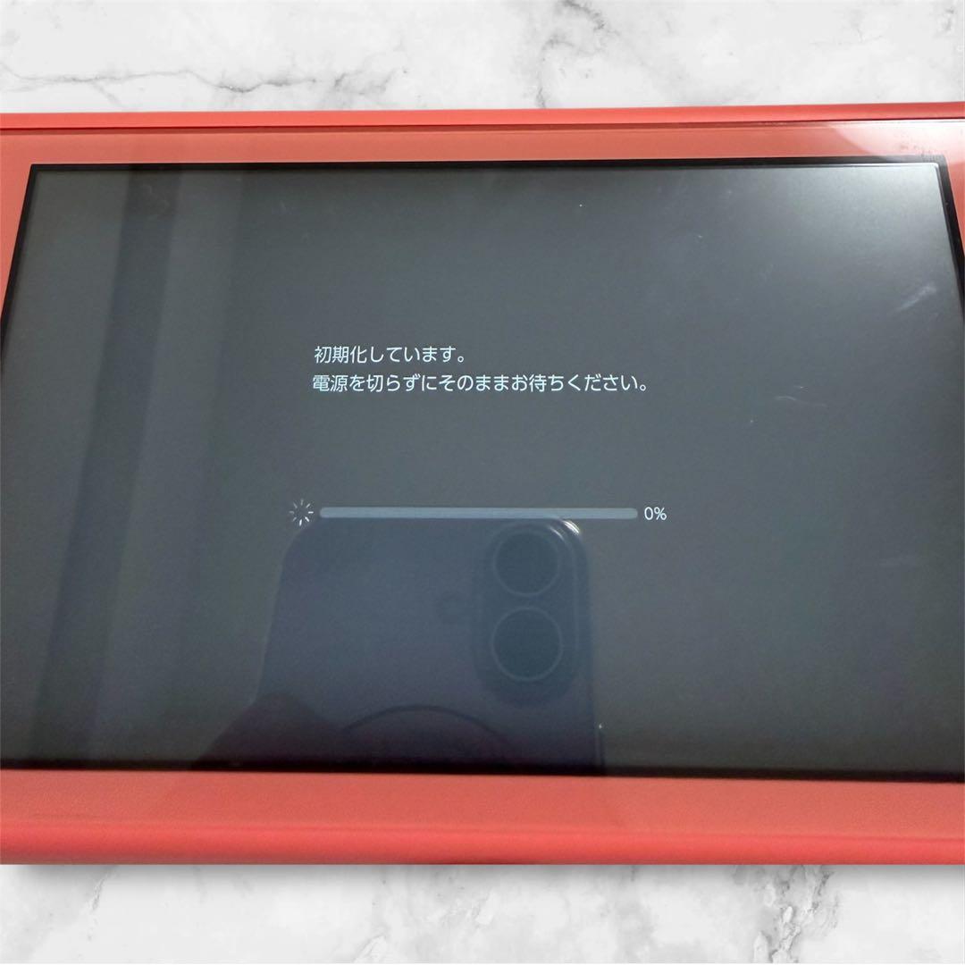 Nintendo Switch Lite 本体 充電器・SDカード付き