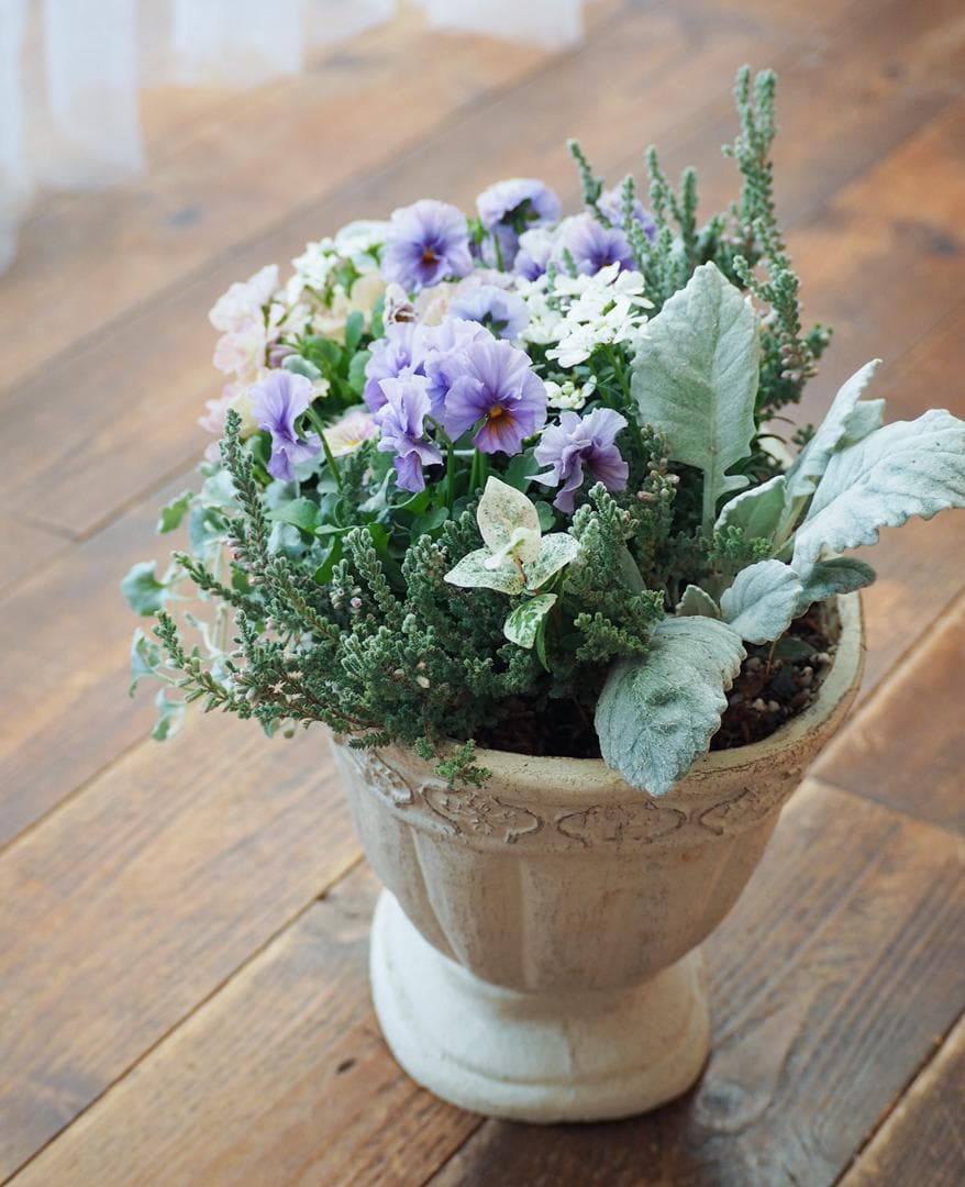 アクアレールのラグジュアリーな寄せ植え