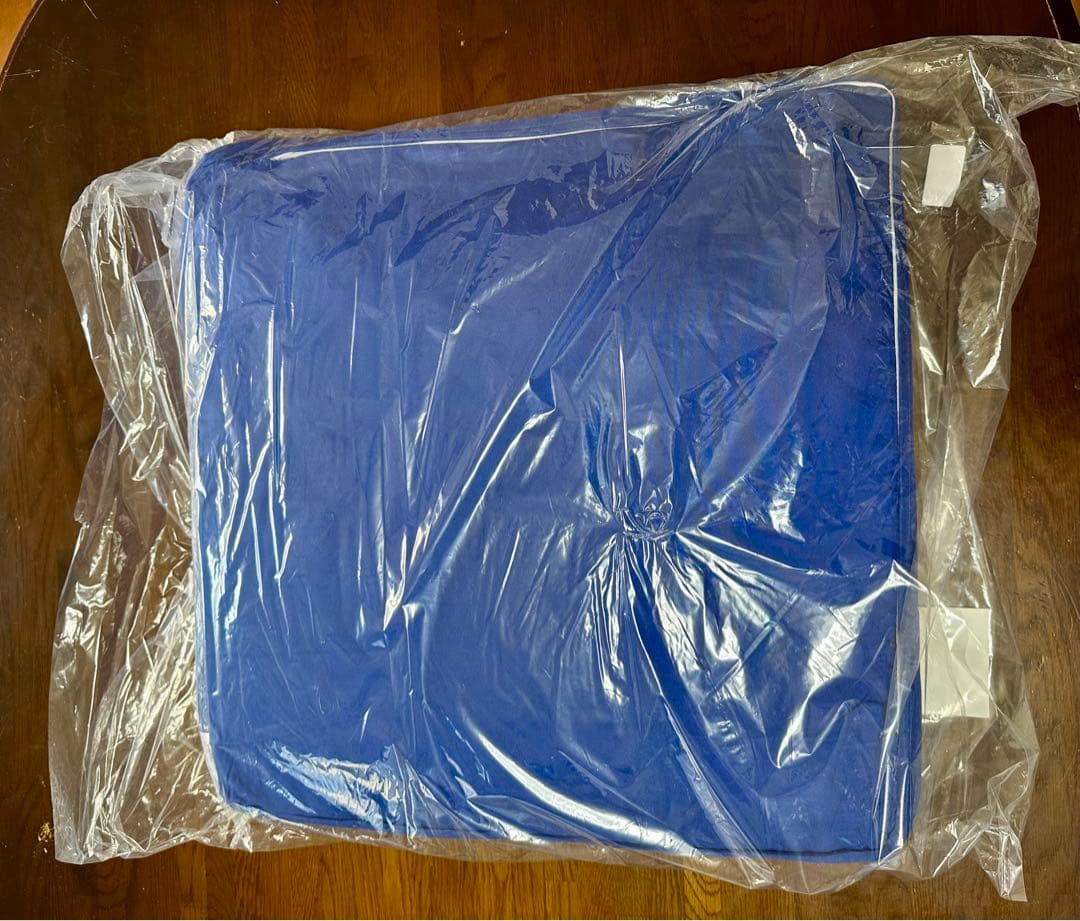 トゥルースリーパー 低反発座布団ごろ寝マット大幅値下げ11500円→8000円