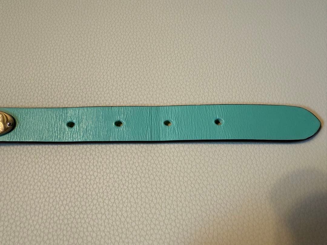 Tiffany & Co. ティファニー 首輪 M