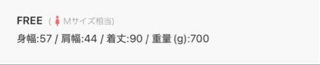 スローブイエナ　ELE STOLYOF Victoria Down MA-1