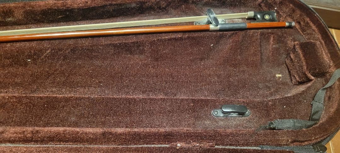 I*i様 ヴァイオリン　バイオリン　カルロジョルダーノ　vs2 4/4