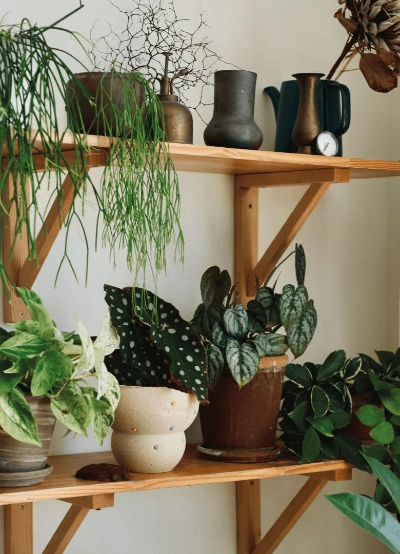 N0282 ciireals 手づくり 高品質 素焼鉢 植木鉢 通気デザイン抜群