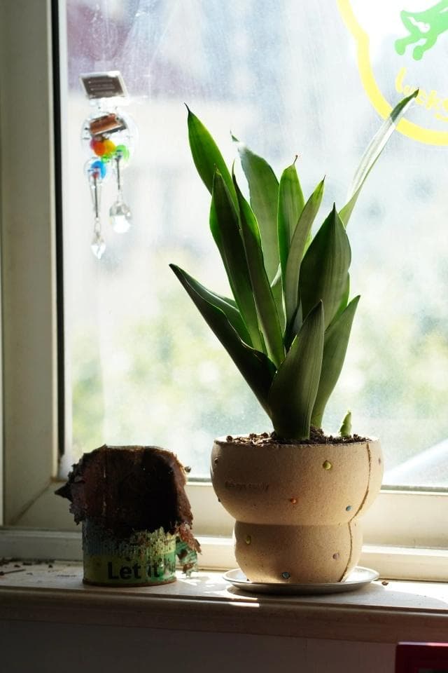 N0282 ciireals 手づくり 高品質 素焼鉢 植木鉢 通気デザイン抜群