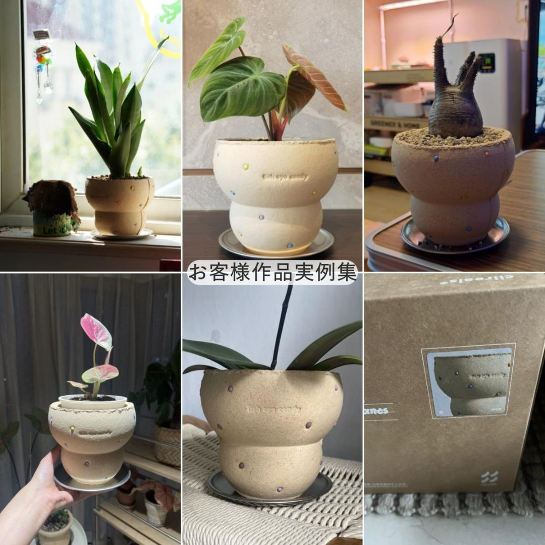 N0282 ciireals 手づくり 高品質 素焼鉢 植木鉢 通気デザイン抜群