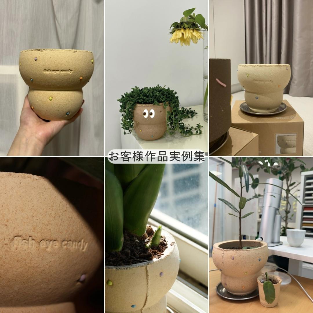 N0282 ciireals 手づくり 高品質 素焼鉢 植木鉢 通気デザイン抜群