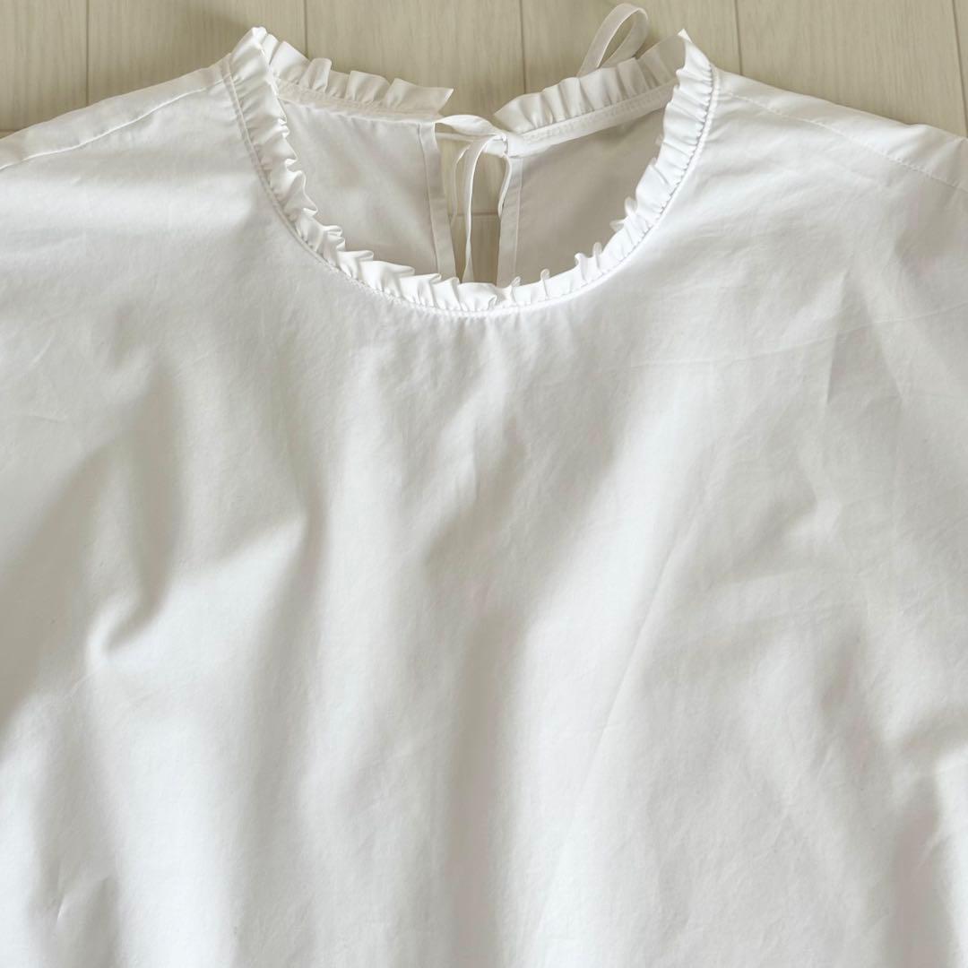 【美品】TOMORROWLAND プロセスドコットン Aラインブラウス