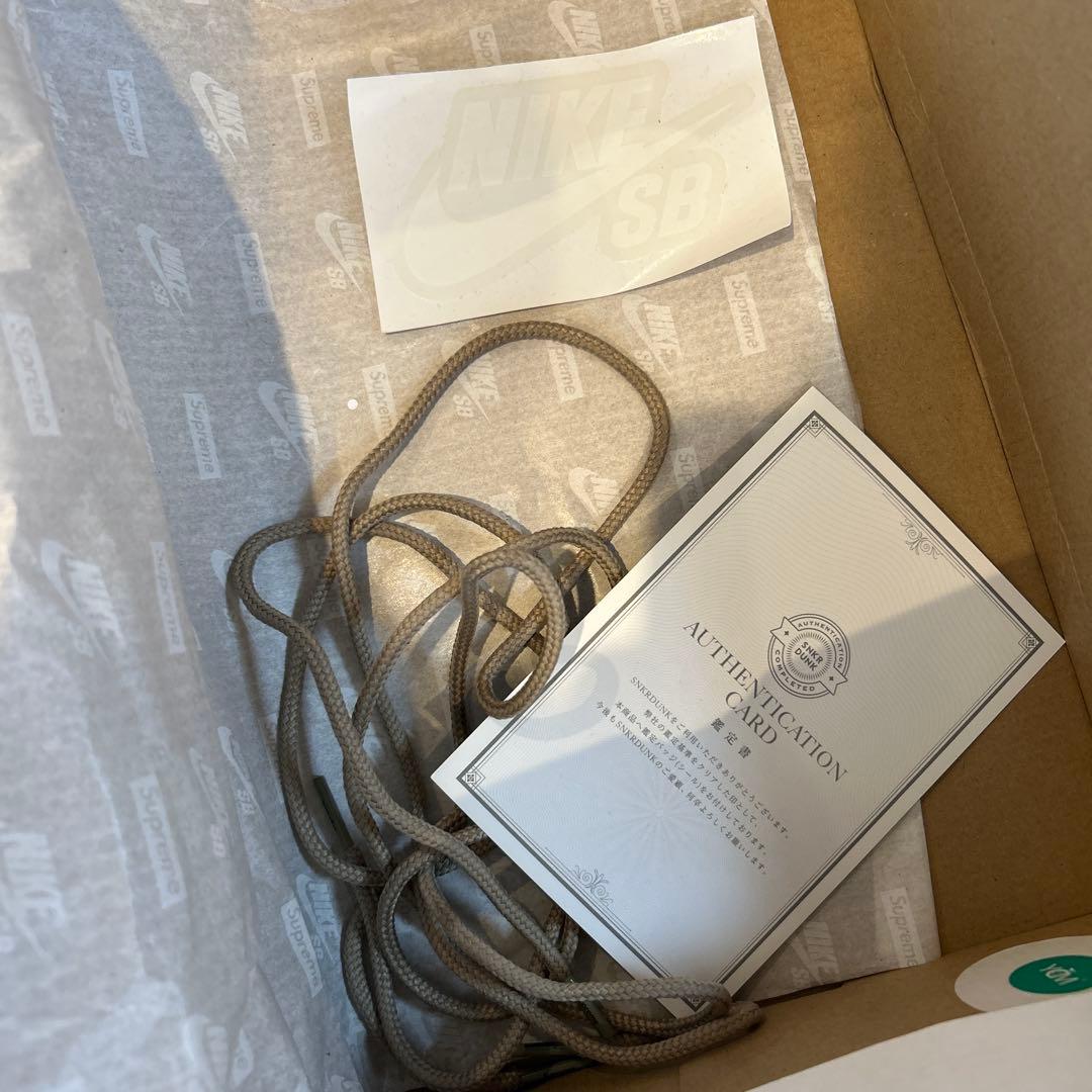 靴 Supreme Nike SB Darwin Low Desert Camo