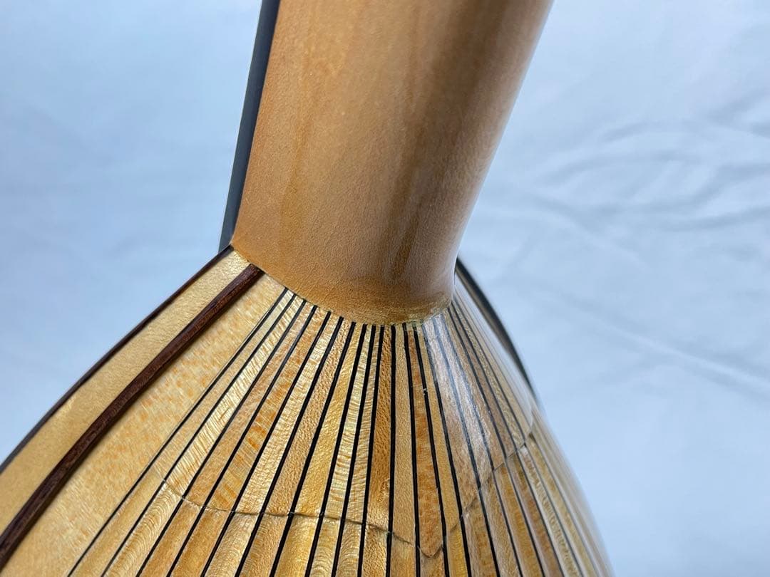 SUZUKI/スズキ クラシックマンドリン M-100