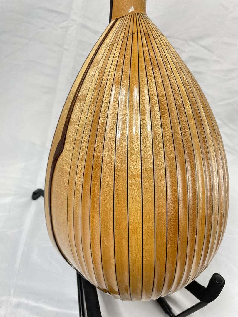 SUZUKI/スズキ クラシックマンドリン M-100