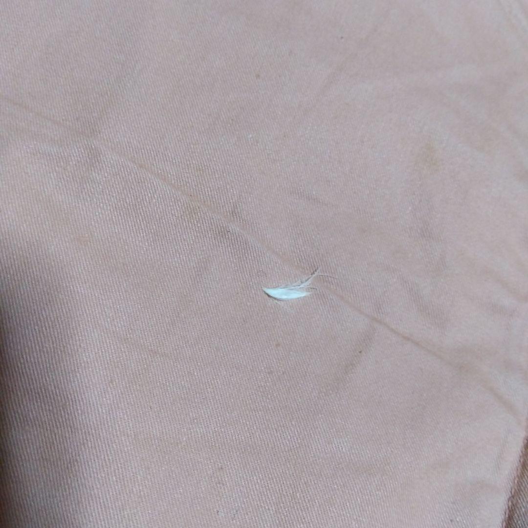 Feather Futon 羽毛敷き布団　送料キャンペーン中のみカバー付き