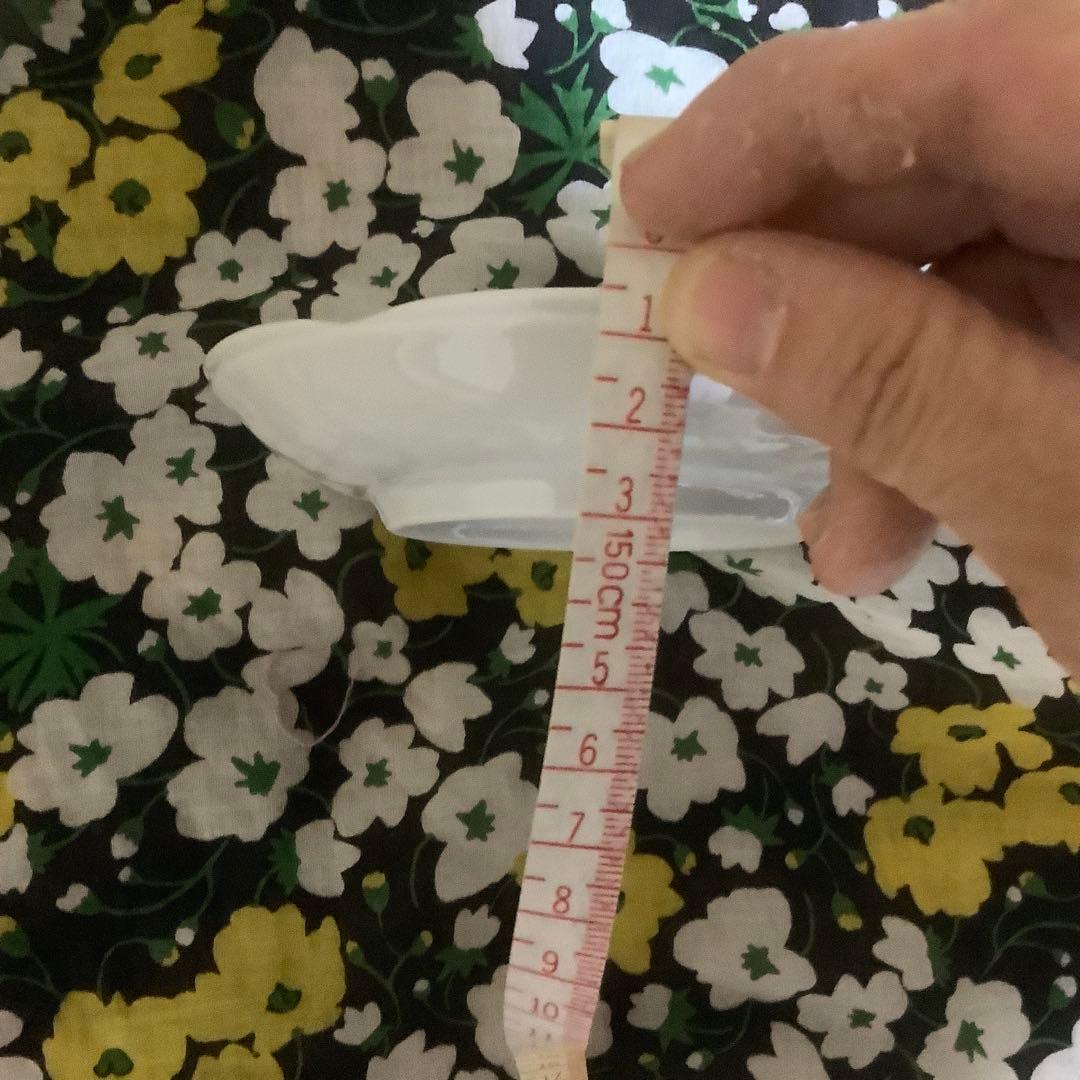 ⭐️【島根県松江市】　松江一畑百貨店　ICHIBATA 風景画皿 12箱(24枚)