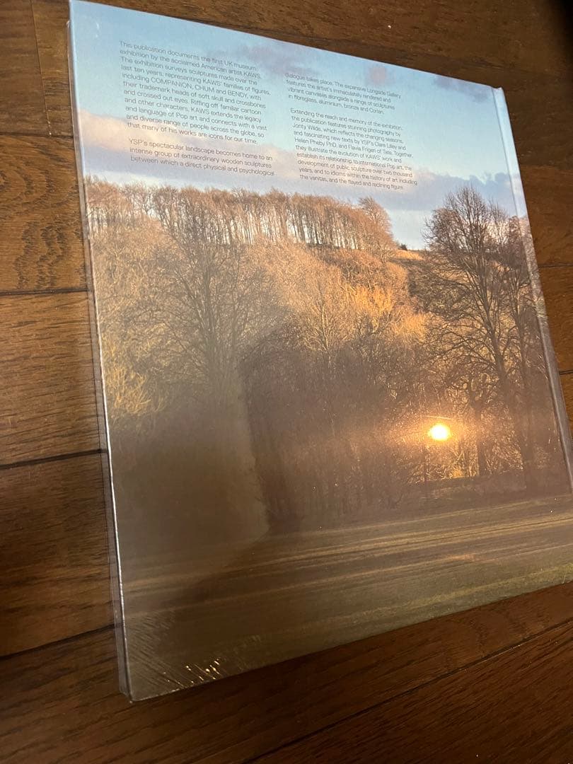 KAWS カウズ 洋書 ヨークシャー公園 写真集 作品集 現代アート カタログ