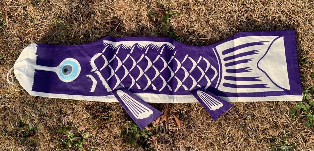 歌川広重「名所江戸百景　水道橋駿河台」手染め豆広重鯉1.1m子鯉緑セット鯉のぼり