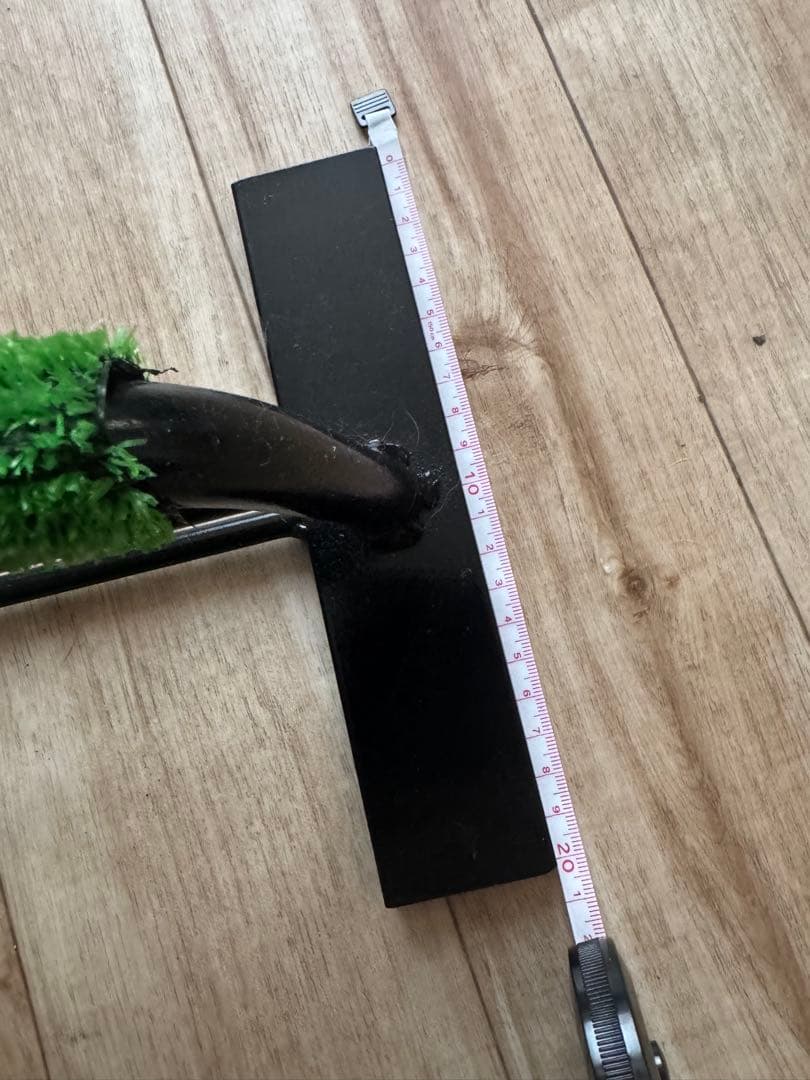 フクロウ　猛禽類　パーチ　止まり木