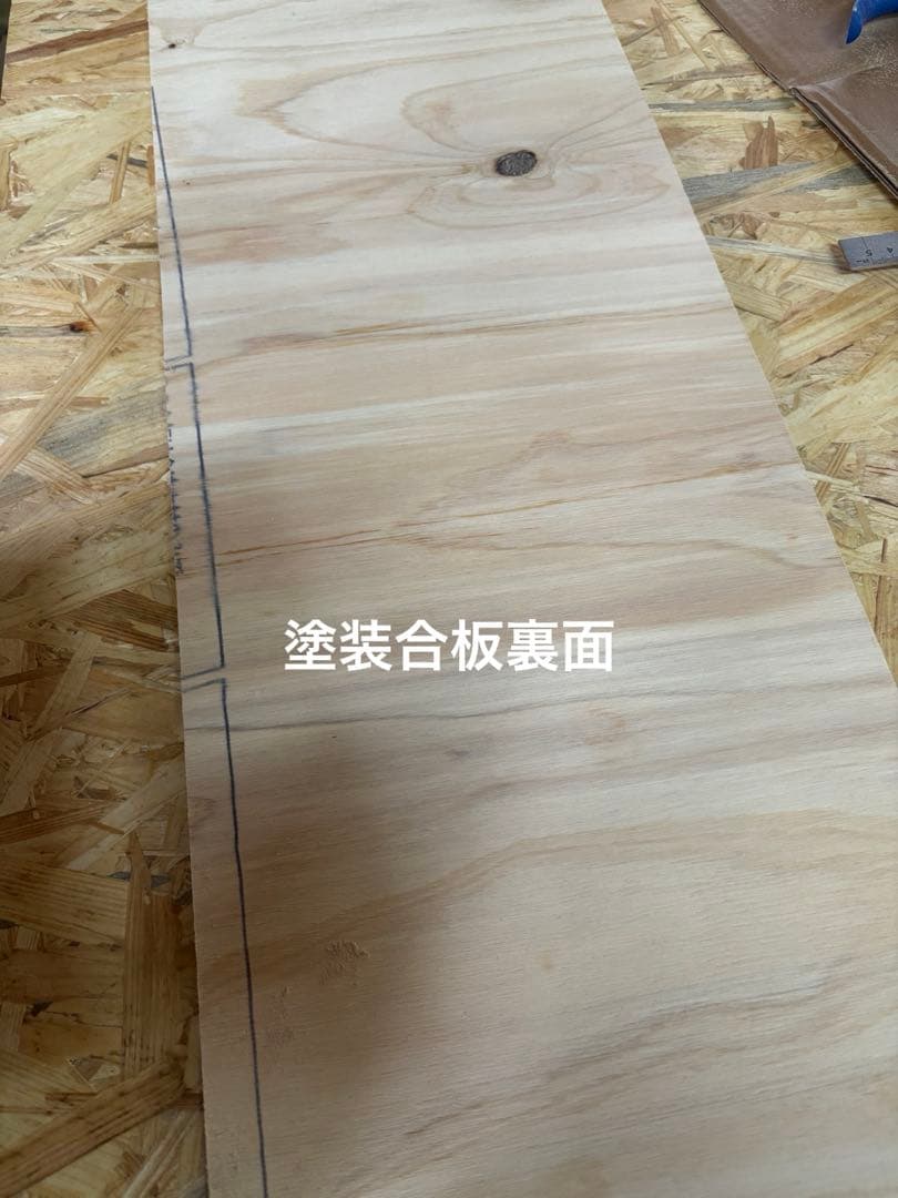 爬虫類ケージ 45×70×45 緑防水　金網左右追加