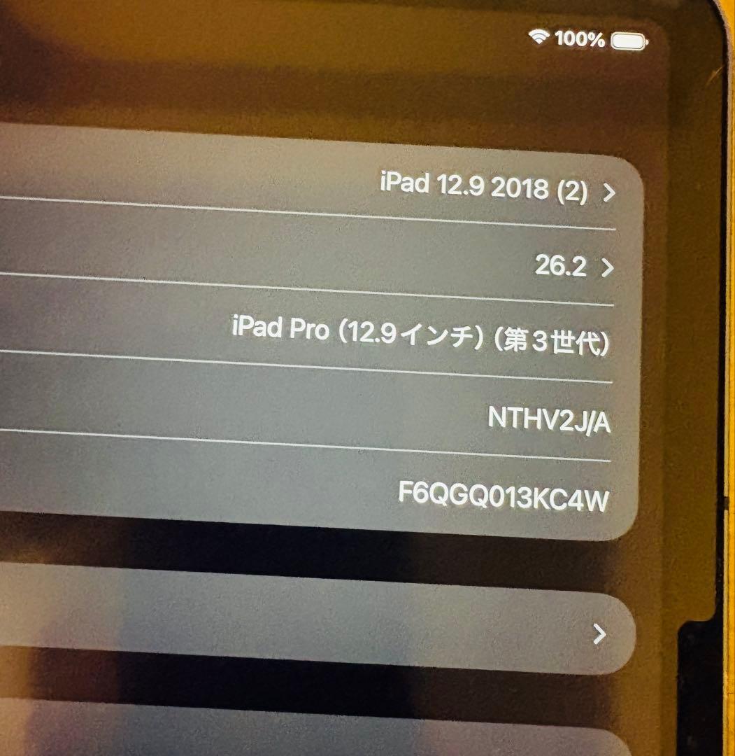 値下げ中　iPad Pro 12.9 Cellular 256GB 100%