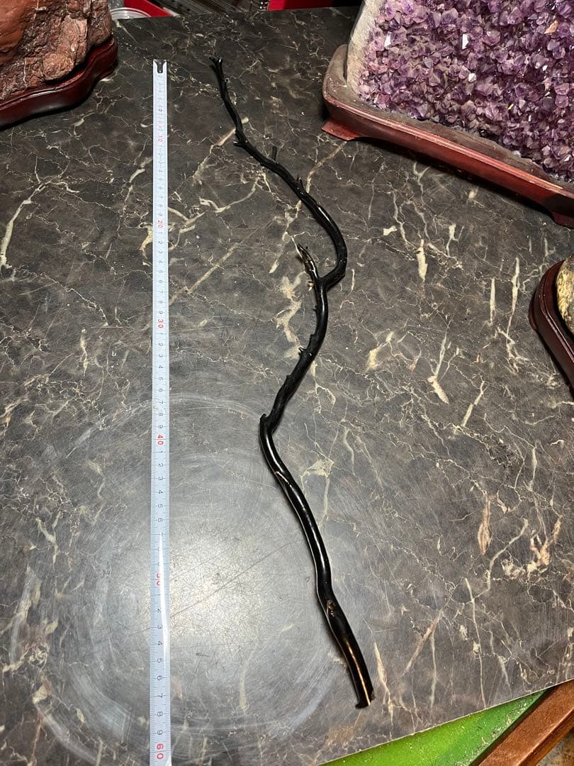 海松、深海松、白珊瑚、38センチ