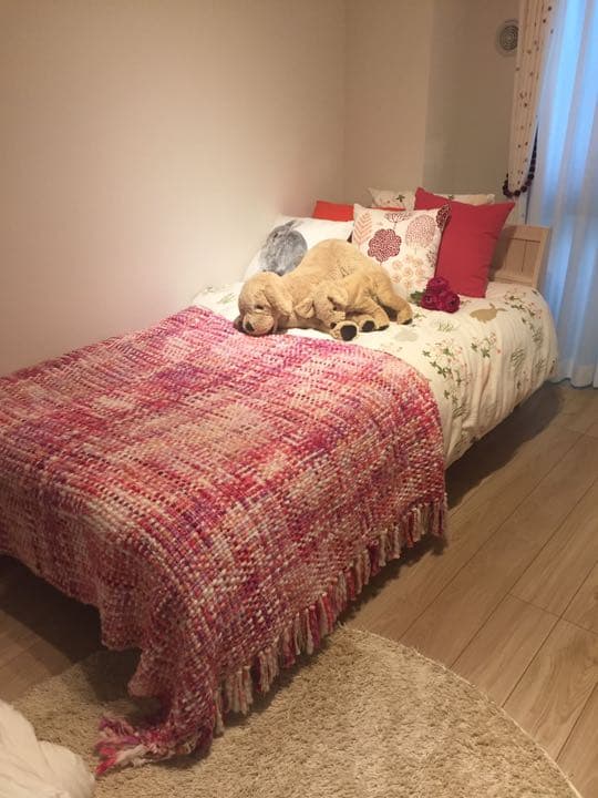 子供用シングルベッド（未使用）電源付き