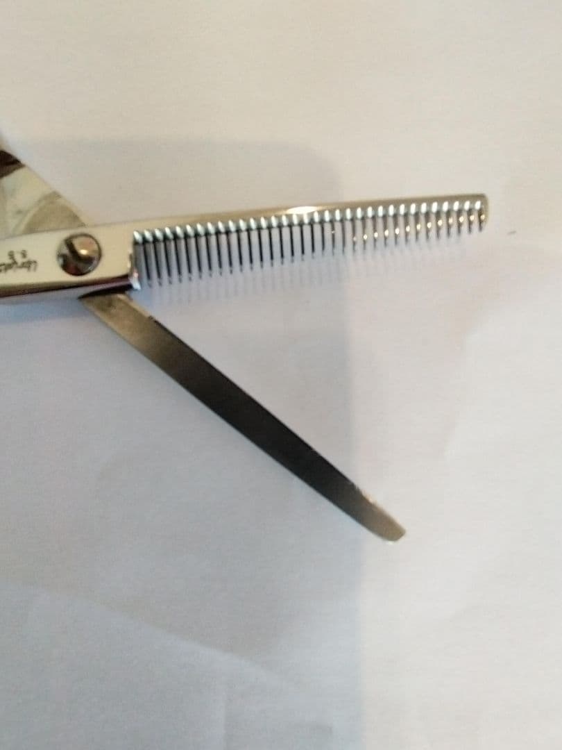 セニングシザー 菊水