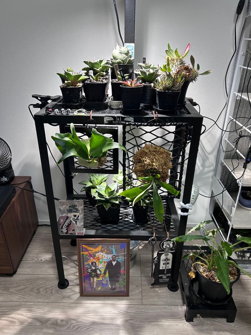 中型スチールラック 黒 メッシュデザイン