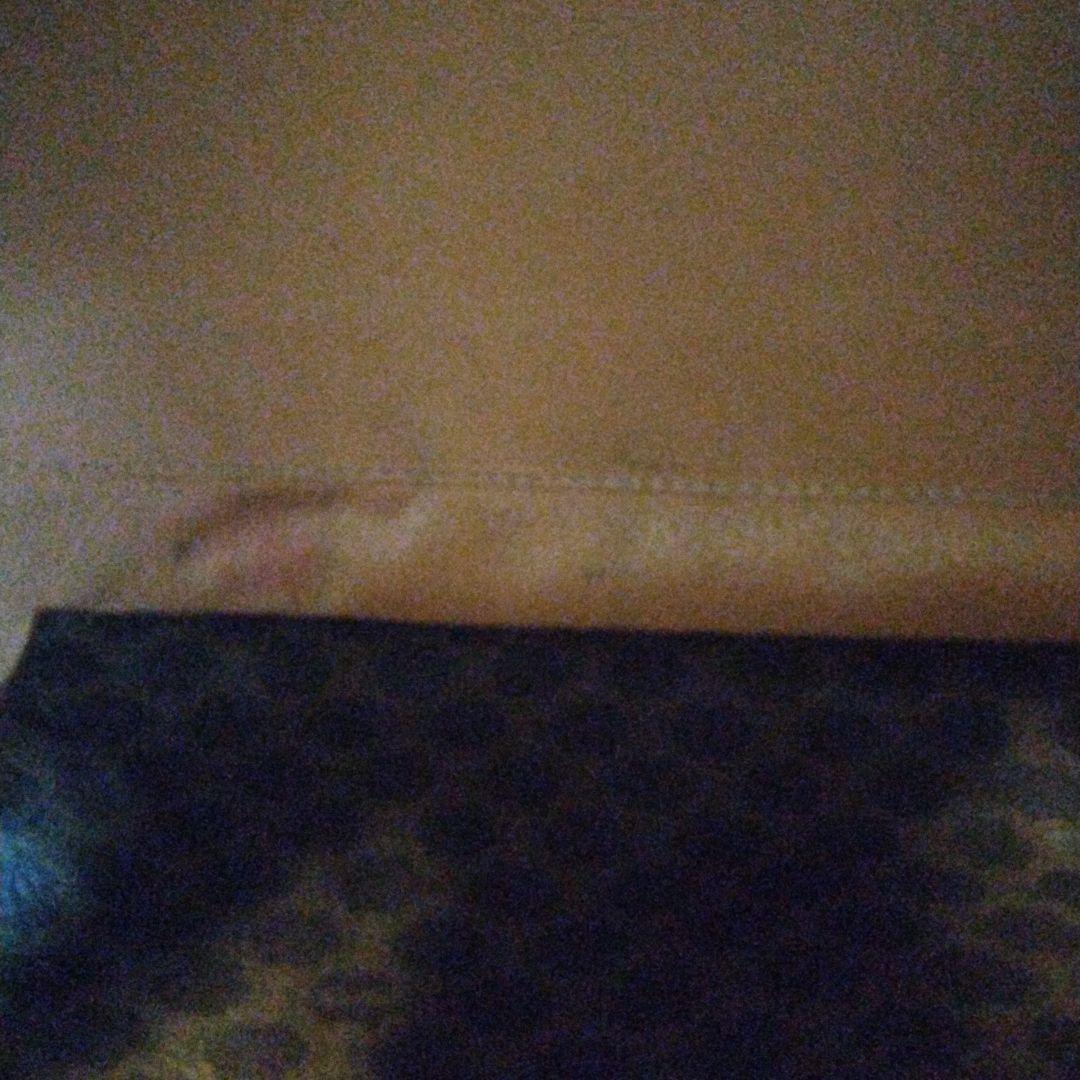 CELINEブラウン ボストンバッグ