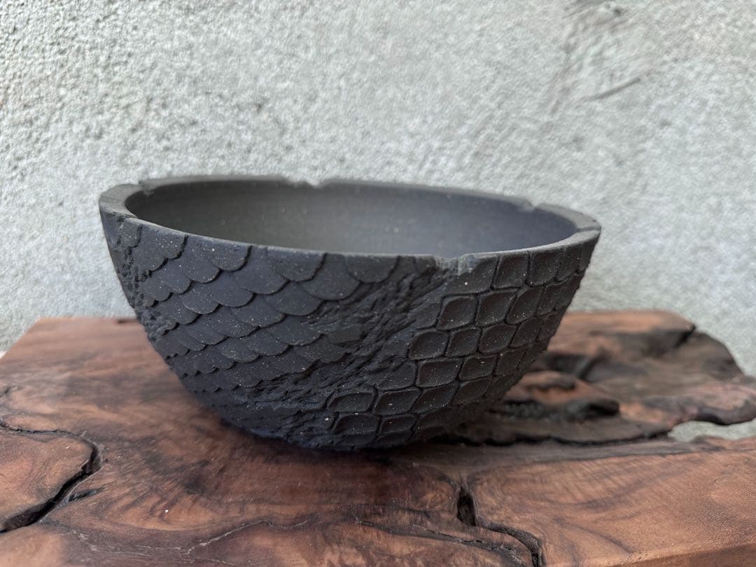 手作植木鉢 グラデーション植木鉢（ 塊根植物 グラキリス パキプス アガベ)