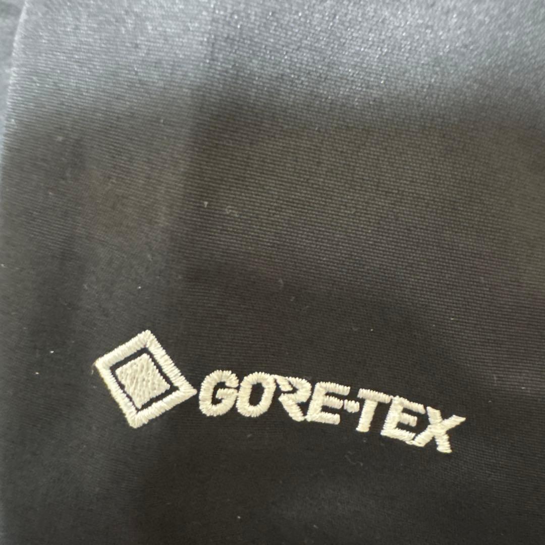 ジャケット・アウター TNF Mountain Light Jacket Women