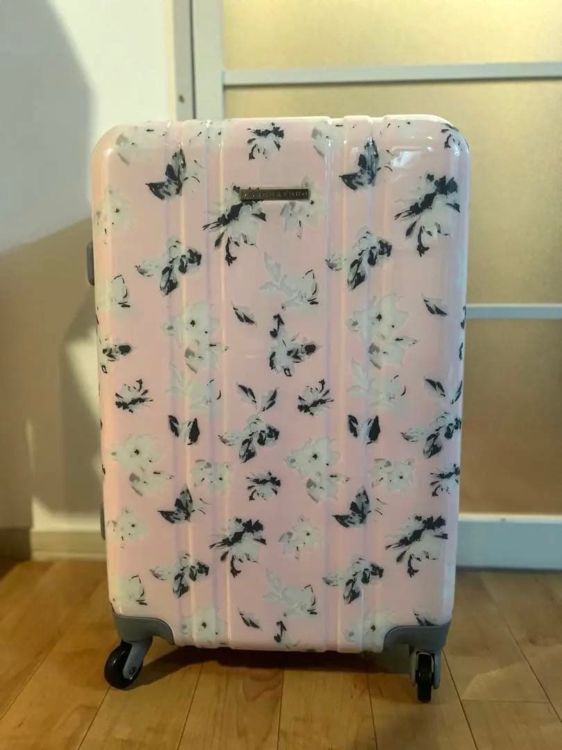 マーキュリーデュオのキャリーケース 66L