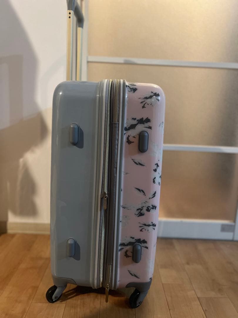 マーキュリーデュオのキャリーケース 66L