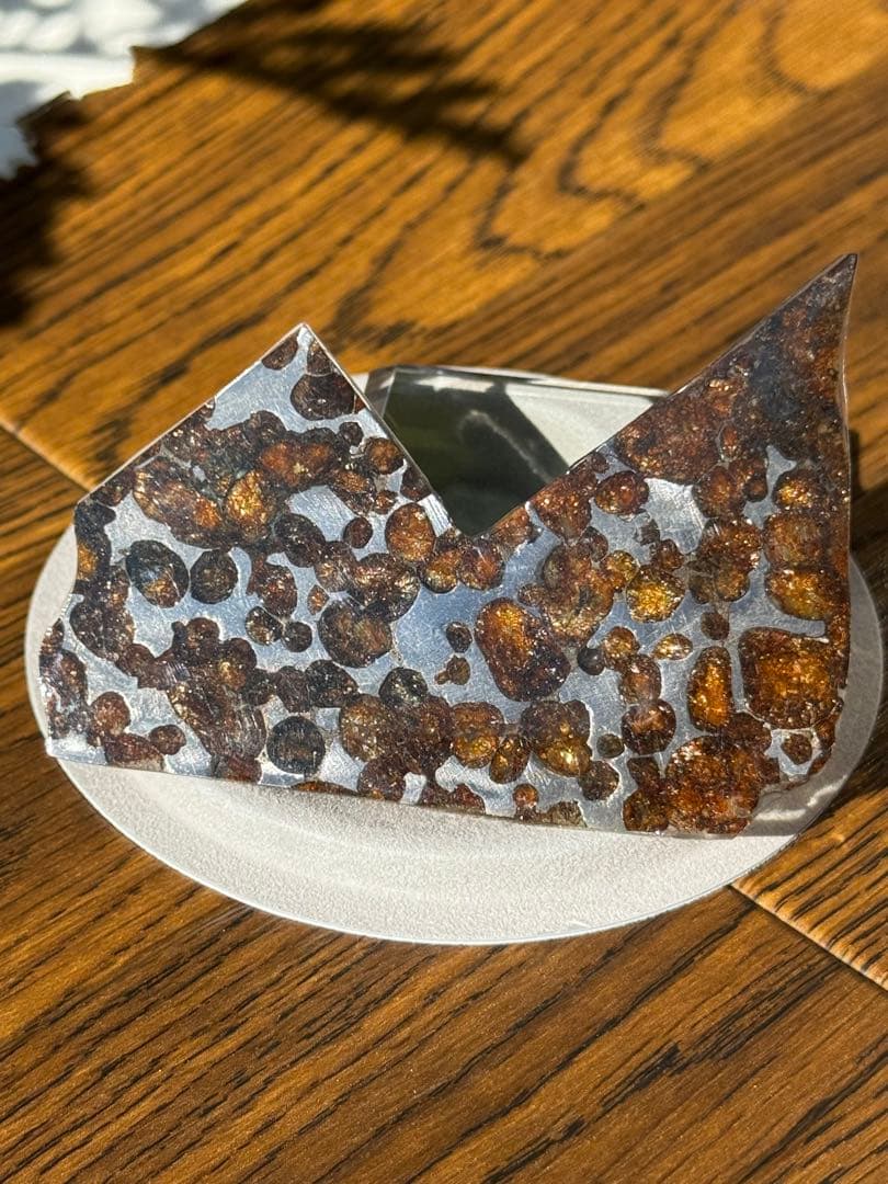 パラサイト隕石