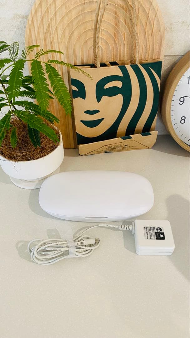 モイスティーヌⅣ