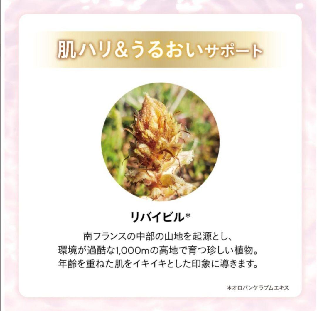 ★新春限定値下げ２個セット★エステファクト ディープモイストクリームV1