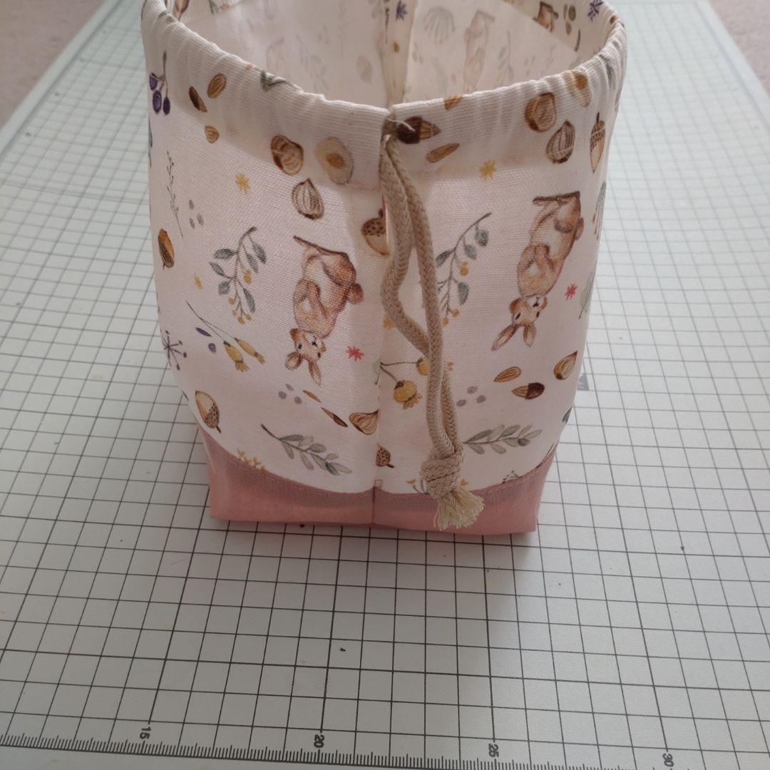 りんご　ミルキーラビット　5点