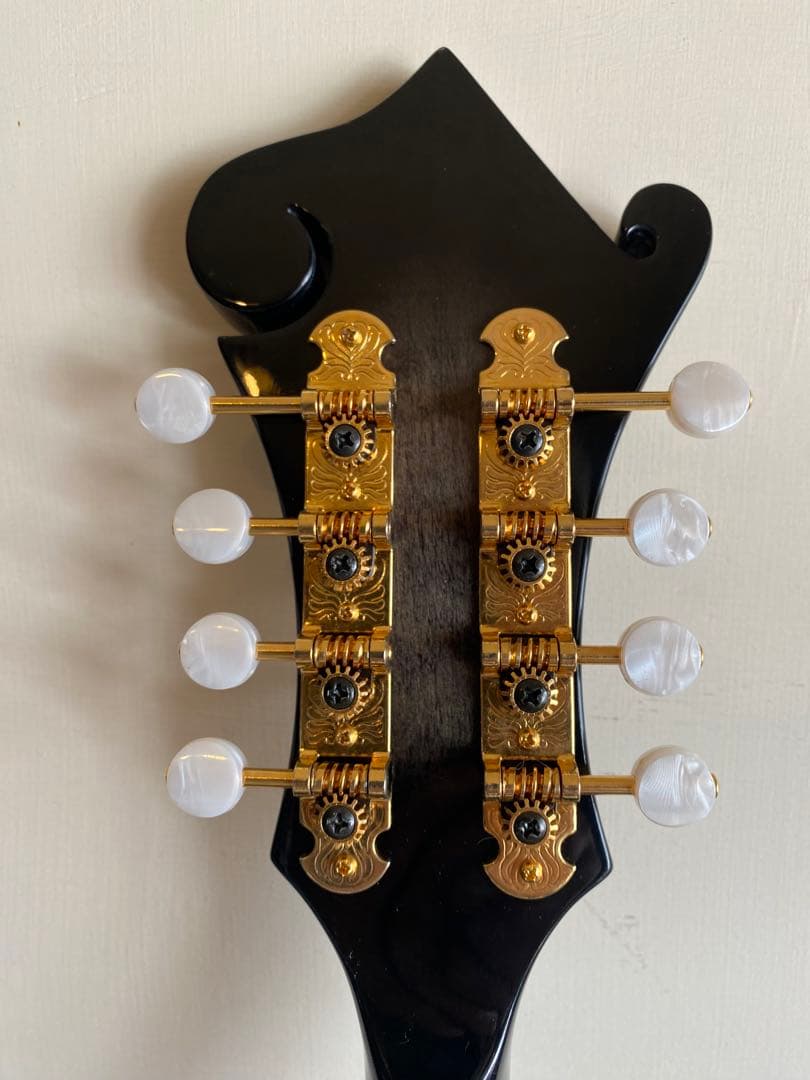 StaffordスタッフォードF-Style エレクトリック・フラットマンドリン