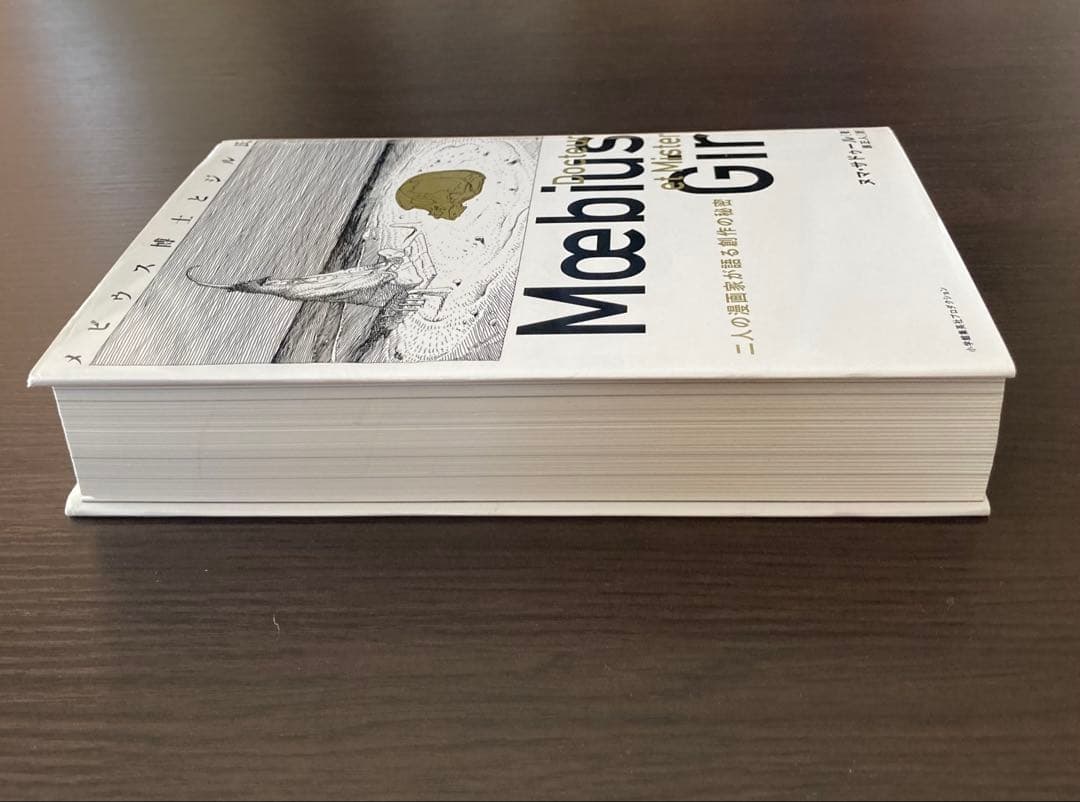 その他 Moebius et Mister Gir