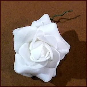 プリザーブドフラワー花材 バラ白