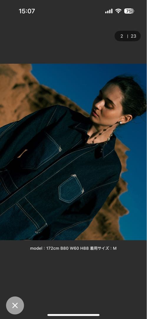 Levi＇s(R) RED COVERALL CRYSTALINE ツナギ