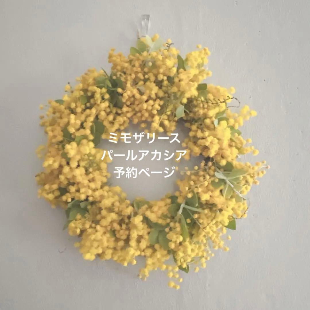 ミモザリース　パールアカシア　2026 2月〜　オーダーページ