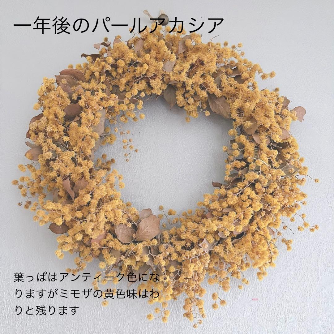 ミモザリース　パールアカシア　2026 2月〜　オーダーページ