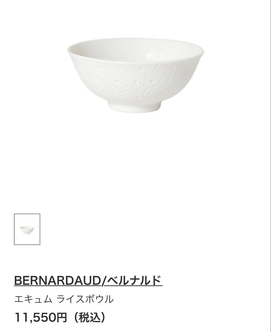 BERNARDAUD エキュム ライスボウル 2枚セット