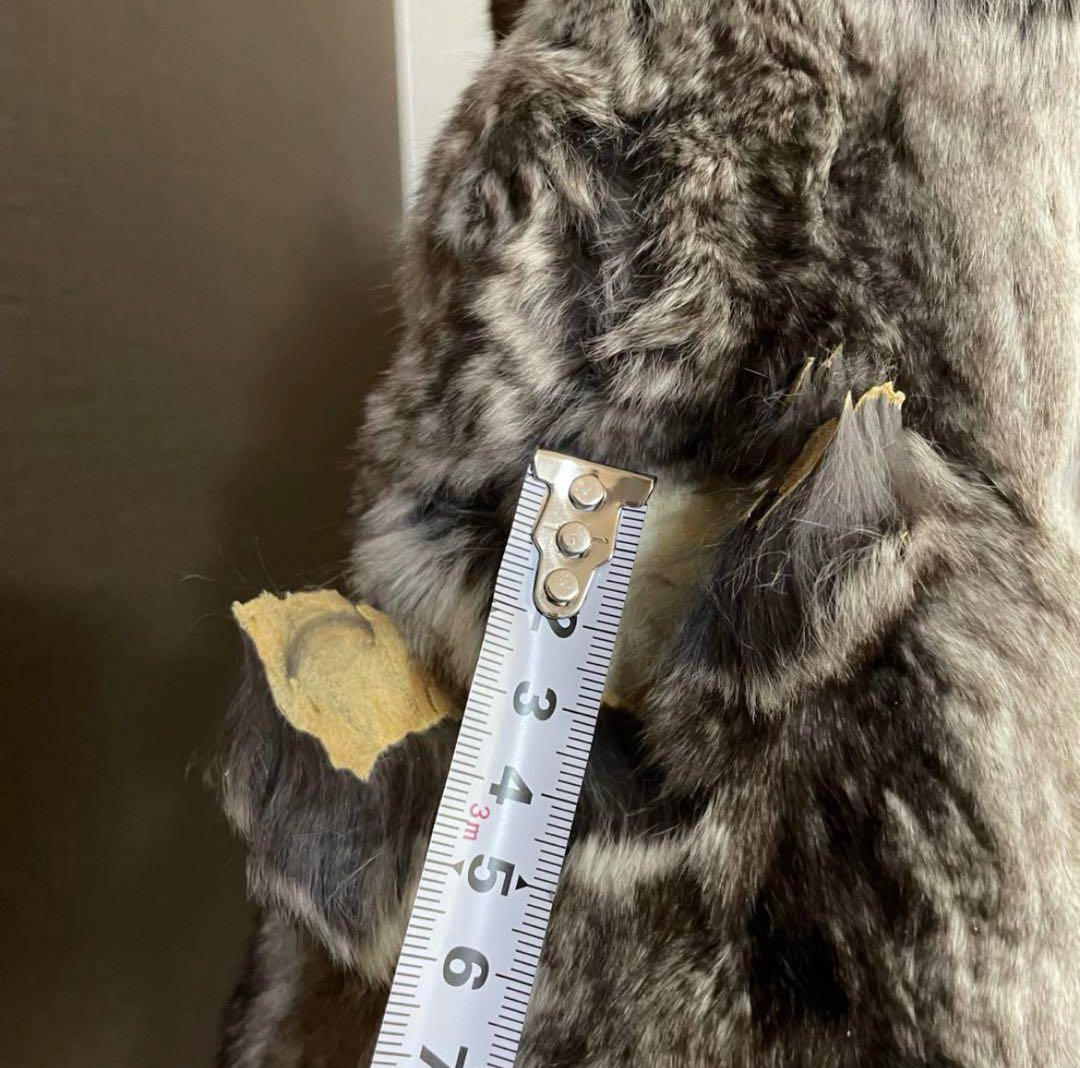 EMPRESS CHINCHILLA ファージャケット　ストール　リアルファー