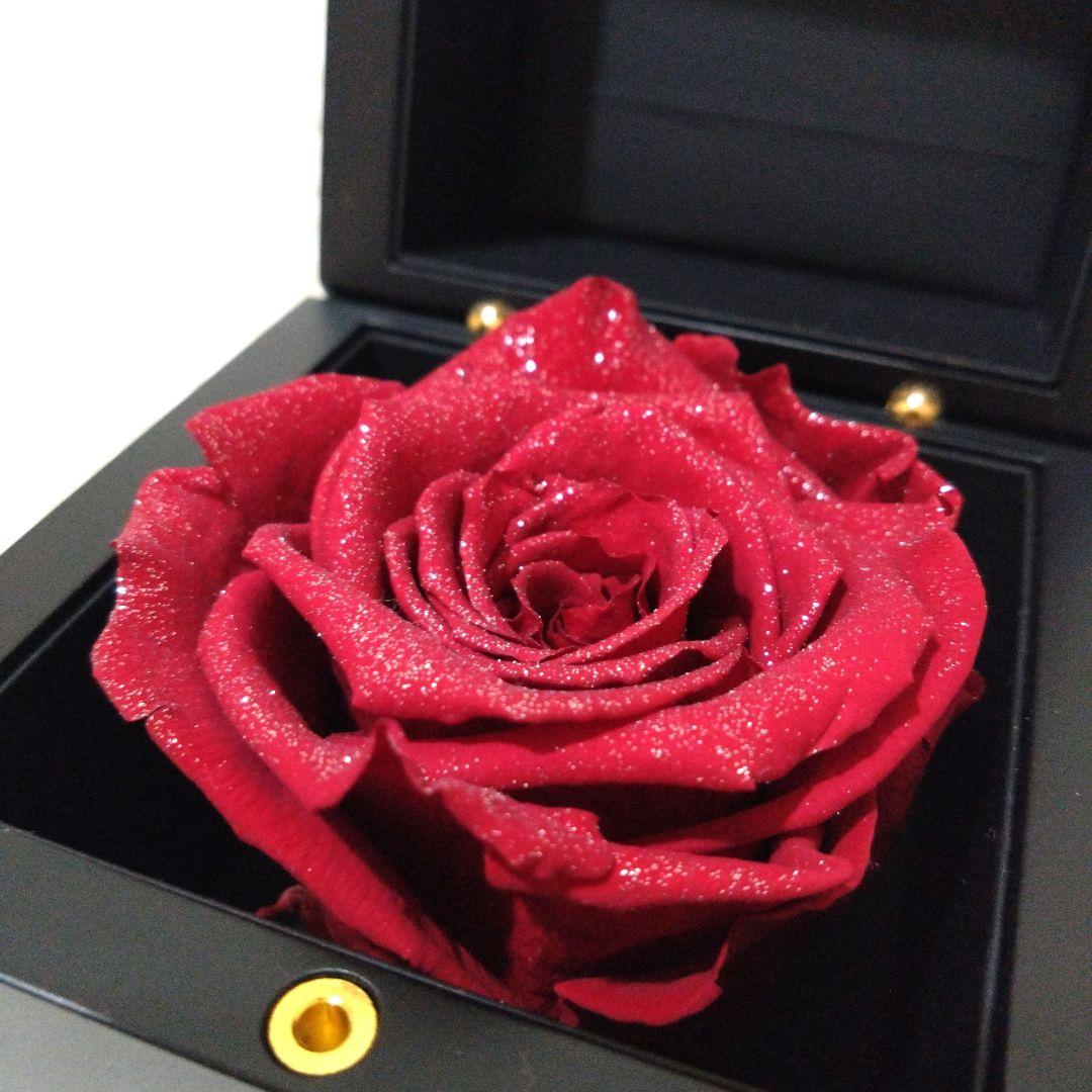 ROSE GALLERY GINZA　ダイアモンドローズ　Mブライトレッド