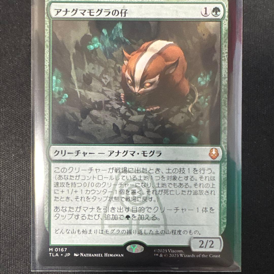 ま*さ様 アナグマモグラの仔