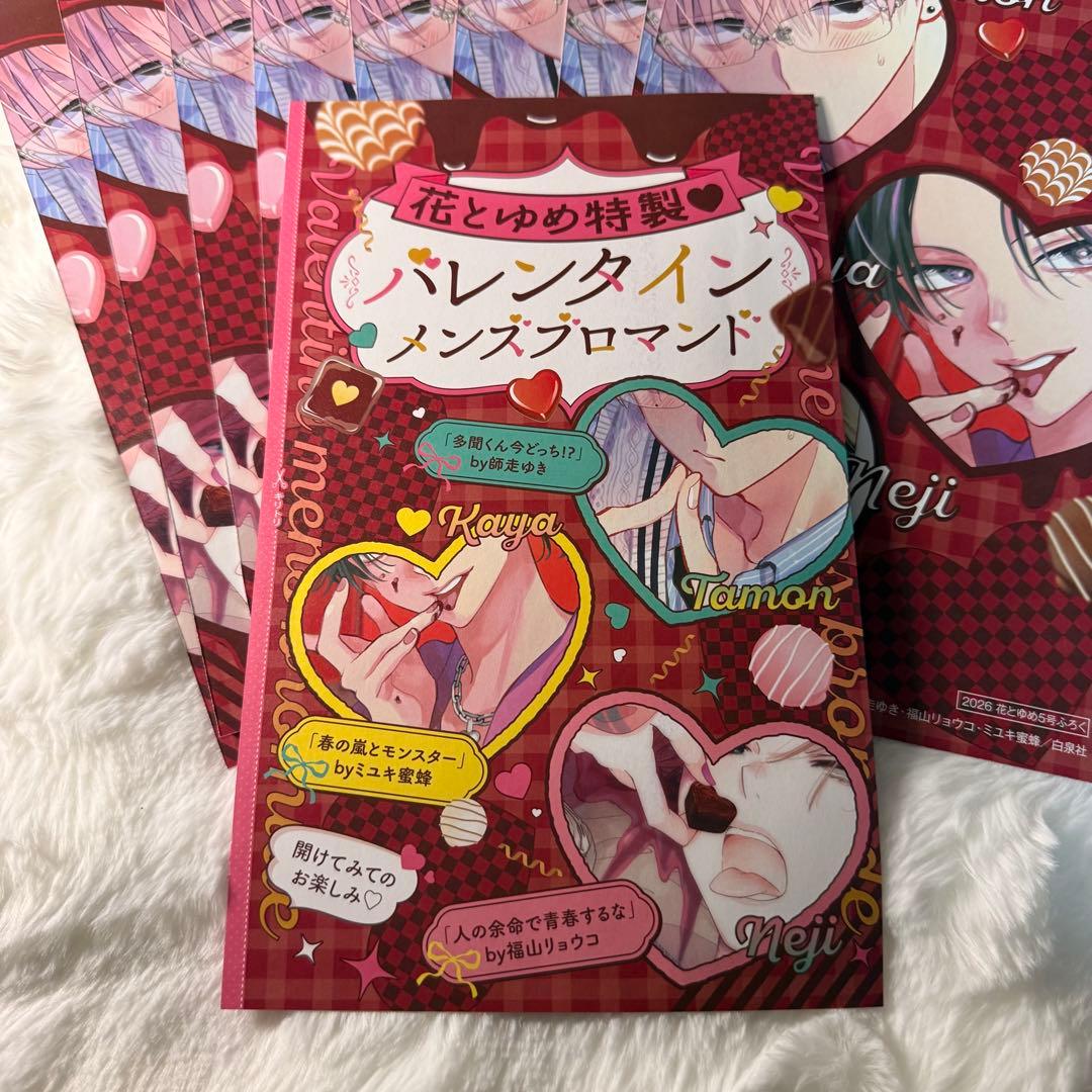 花とゆめ 5号 付録 多聞くん今どっち バレンタインブロマイド 10枚 セット