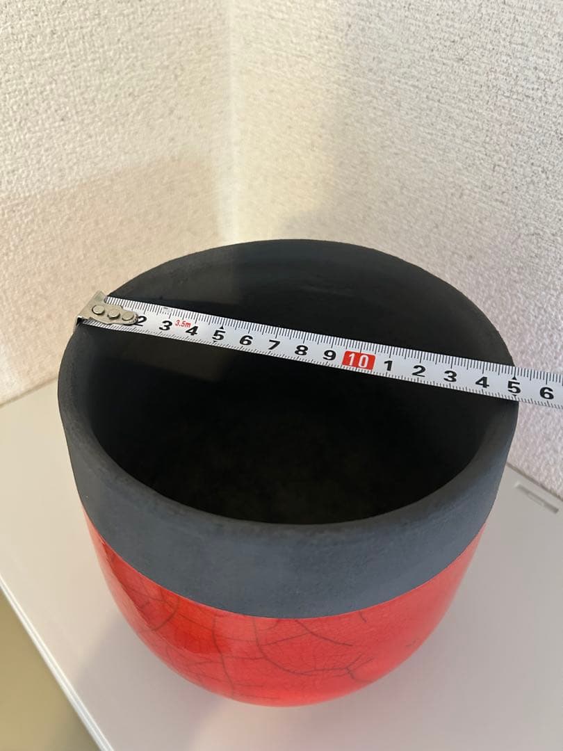 ドマーニ　Domani 鉢