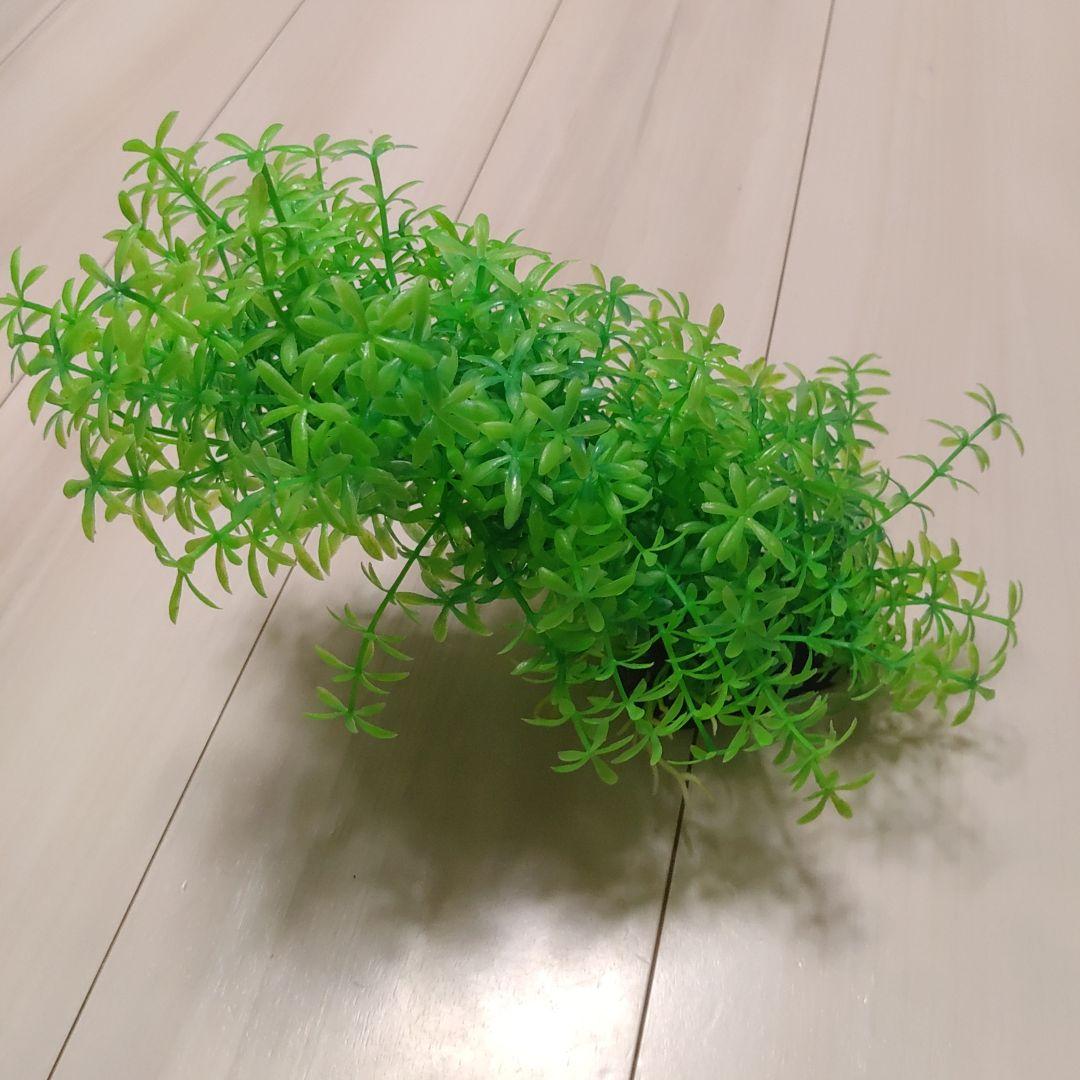 爬虫類・両生類用レイアウト用品セット